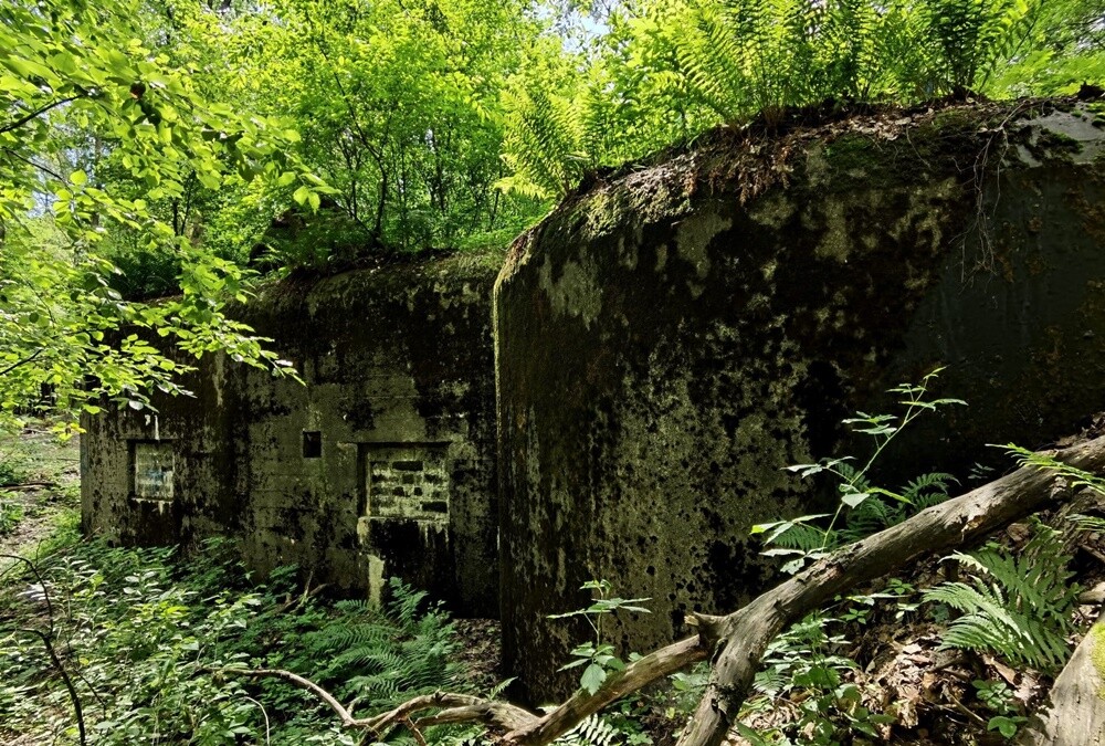Bunkier satanistów w Rudzie Śląskiej. / fot. Paweł Szleger