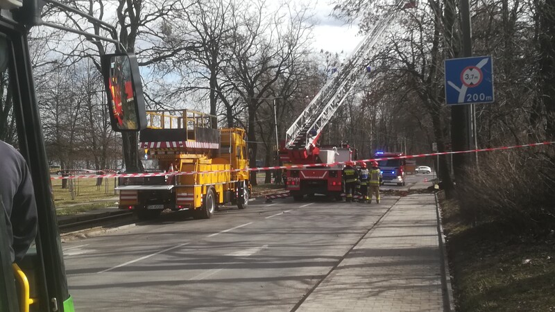 Chebzie: poważne utrudnienia w ruchu! ul. Pawła zablokowana! Strażacy usuwają drzewo
