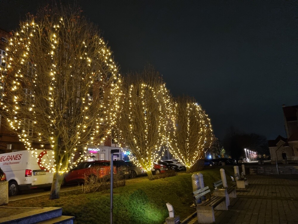 Kilka dni temu na rynku w Nowym Bytomiu stanęła choinka.
