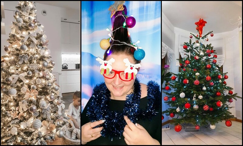 Choinki naszych Czytelników. Zobacz piękne bożonarodzeniowe drzewka [ZDJĘCIA]