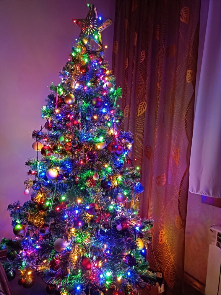 Niemal w każdym domu, gdzie obchodzone są święta Bożego Narodzenia, gości choinka.