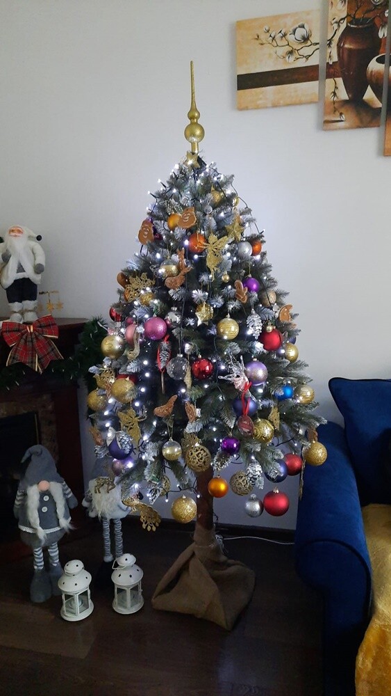 Niemal w każdym domu, gdzie obchodzone są święta Bożego Narodzenia, gości choinka.