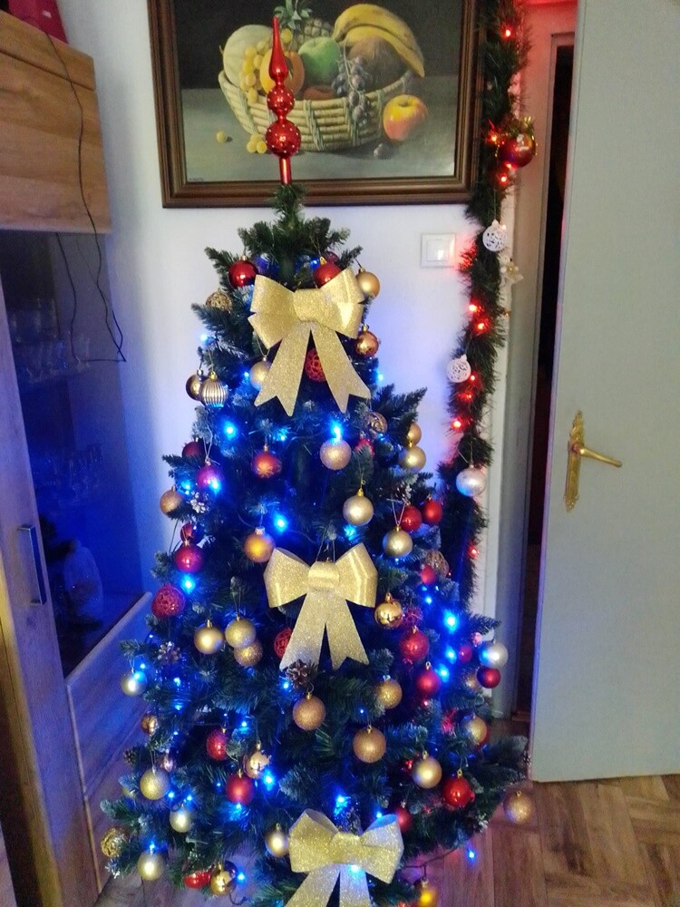 Niemal w każdym domu, gdzie obchodzone są święta Bożego Narodzenia, gości choinka.