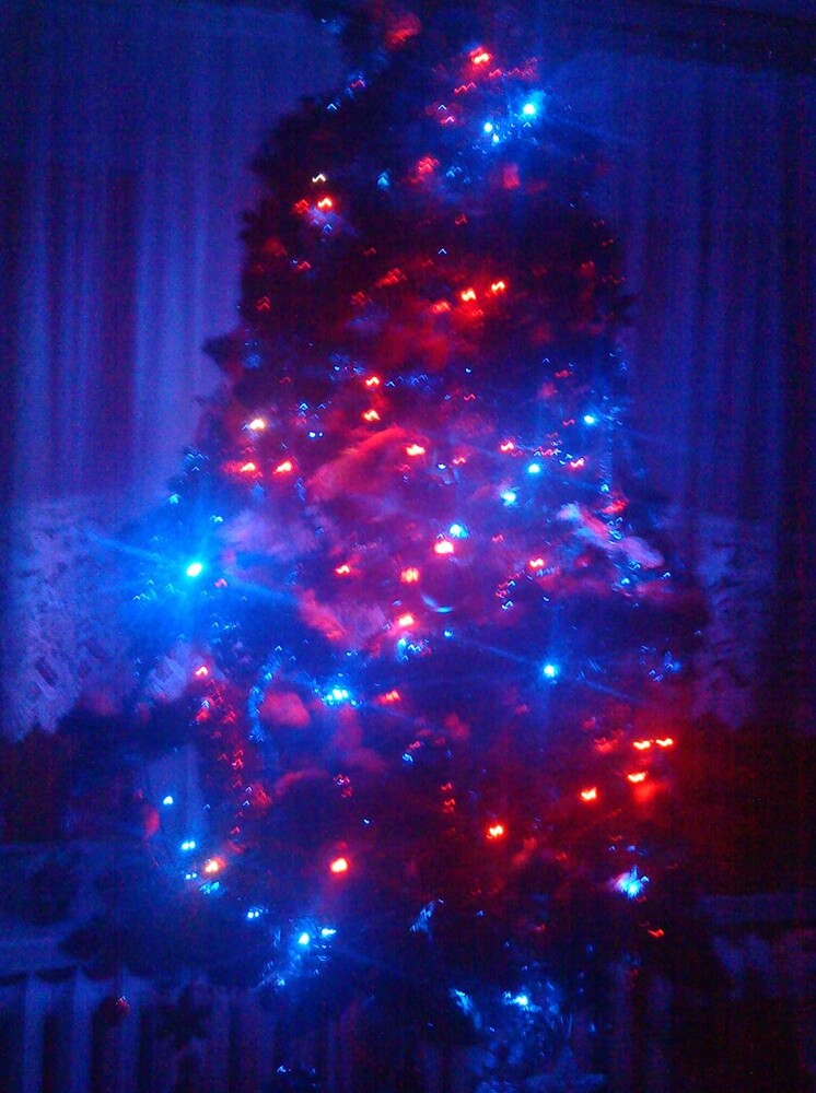 Niemal w każdym domu, gdzie obchodzone są święta Bożego Narodzenia, gości choinka.