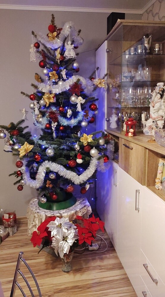 Niemal w każdym domu, gdzie obchodzone są święta Bożego Narodzenia, gości choinka.