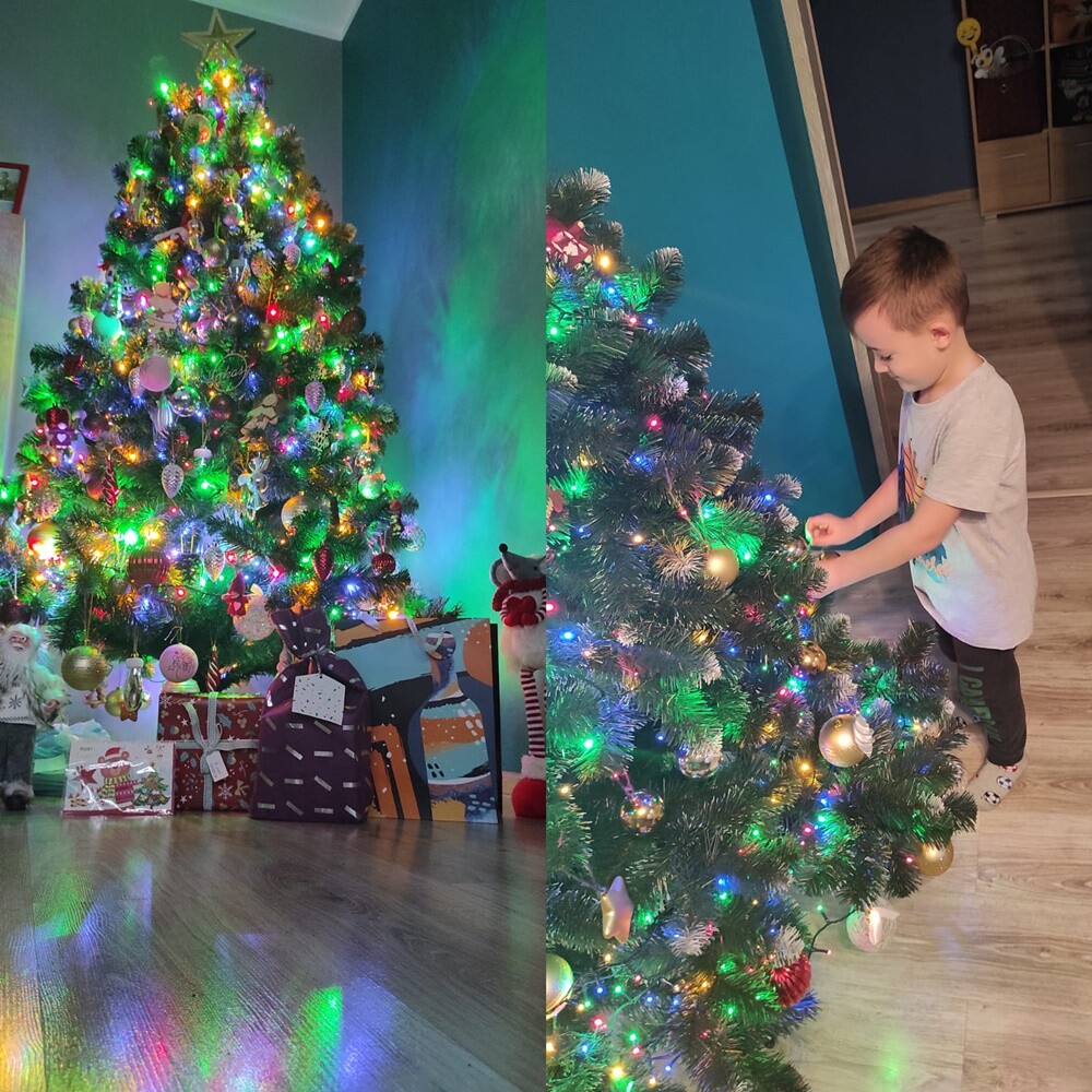 Niemal w każdym domu, gdzie obchodzone są święta Bożego Narodzenia, gości choinka.