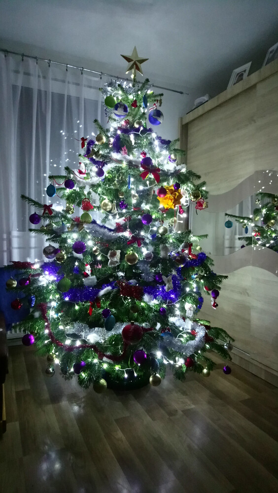 Nasza choinkq z wielkopolski
Autor: Martyniak Artur