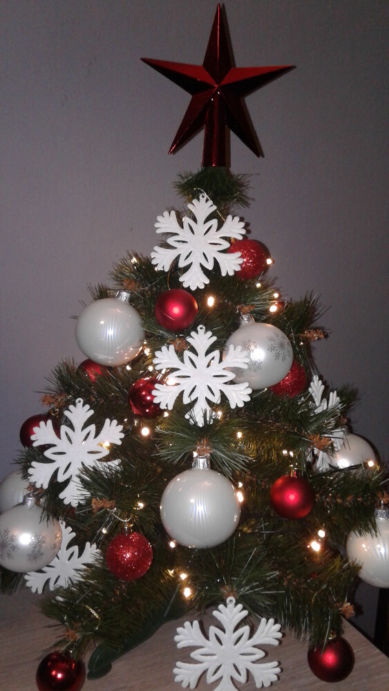 Mała choinka
Autor: Makula Anna