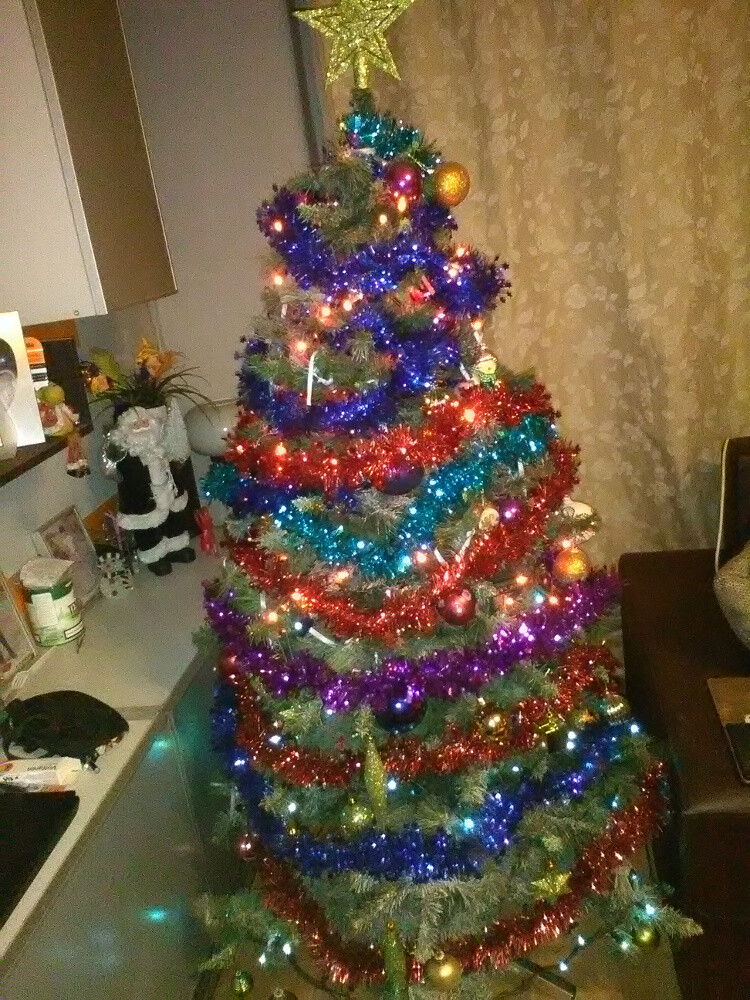 Jest choinka będą Święta
Autor: Junga Anna