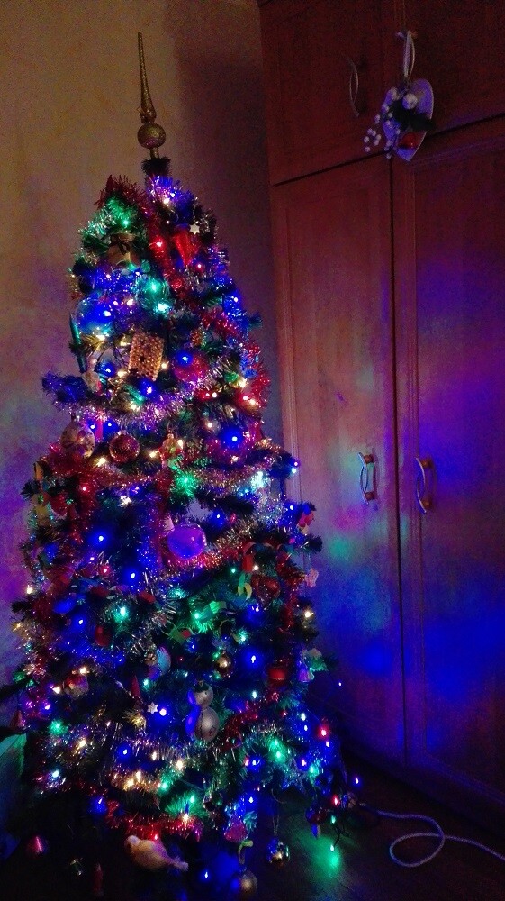 Nasza choinka miała być żywa ale niestety brak czasu spowodował że nie kupiliśmy. Tak miało być bo Nasza choinka jest bardzo magiczna. Autor: Monika Mieczkowska