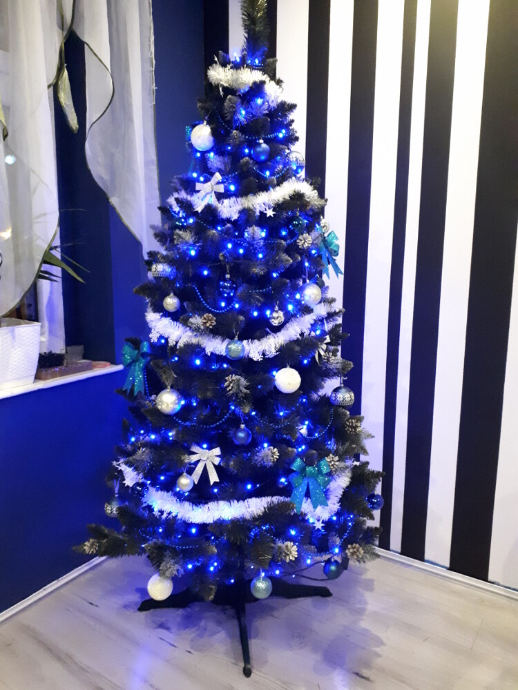 Autor: Kowalińska Joanna