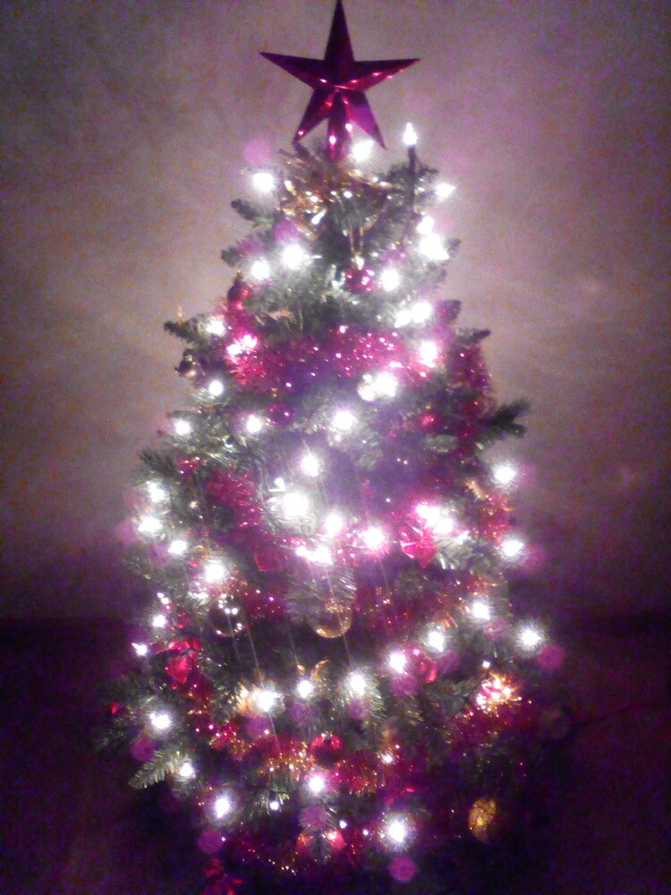 Choinka ma choinka ma:D
Autor: Strach Dorota