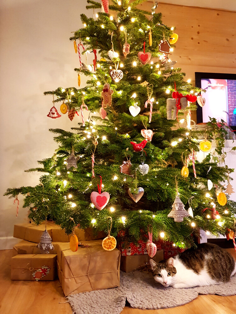 Nasze świąteczne drzewko. Pachnące piernikiem i pomarańczą.
Autor: Anna Florek