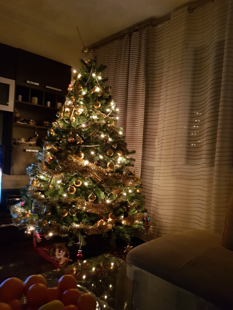 Choinka 2017 całej rodzinki 4R
Autor: Różycka Anna