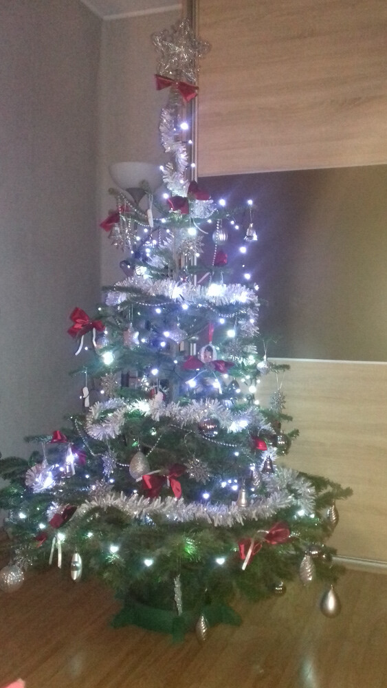 Autor: Ogrocka Izabela