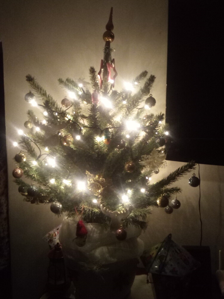 Malutka choineczka Ani i Krzysia
Autor: Kubicka Agnieszka