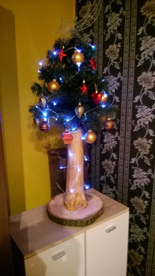 Nasza stara choineczka w nowej odsłonie :)
Autor: Krawczyk Dorota