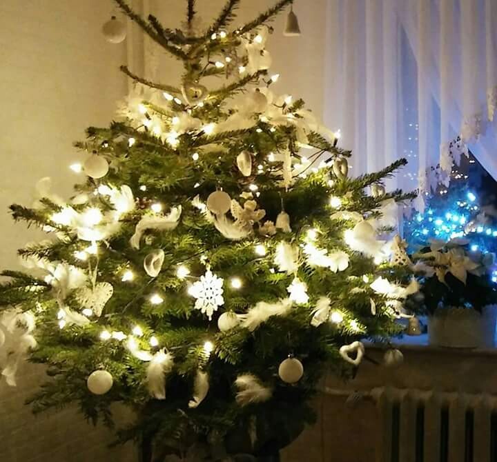 Z roku na rok coraz piękniejsza. 
Autor: Justyna Broda