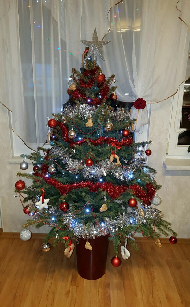 To drugie święta w Rudzie Śląskiej Bykowinie :):)
Autor: Buczek Angelika