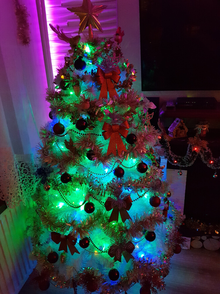 W tym roku to jest wyjątkowa choinka przy kominku ta oto choinka pokazuje jak bardzo kochamy święta w naszej rodzinie 
Autor: Jakub Langer