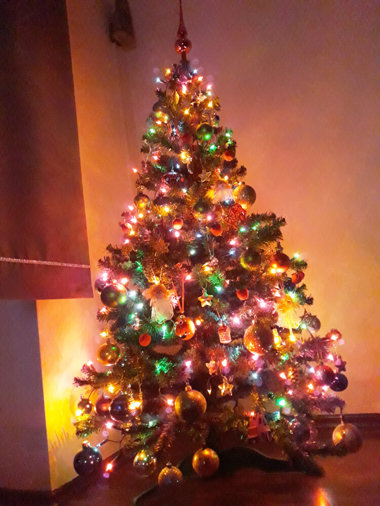 Przyjemnie patrzeć na blask choinki.
Autor: Zboch Monika