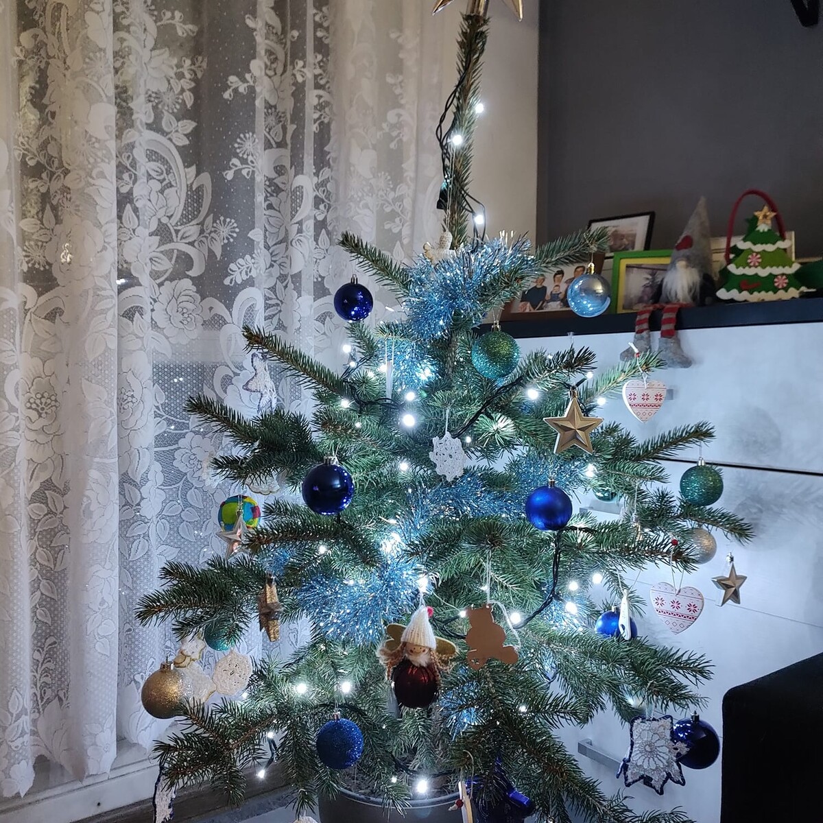 Tradycyjnie już jak co roku na Facebooku RudaSlaska.com.pl poprosiliśmy naszych czytelników, aby wysłali nam zdjęcia swoich choinek bożonarodzeniowych. Odzew był bardzo pozytywny. Zobaczcie stworzoną galerię ozdobionych drzewek!