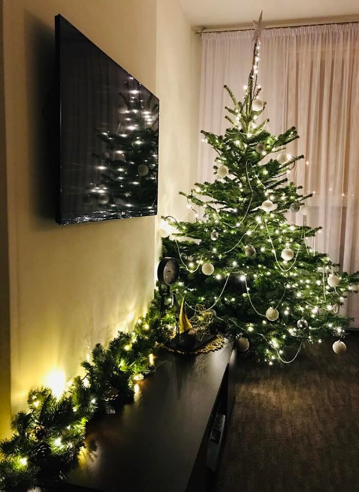 Tradycyjnie już jak co roku na Facebooku RudaSlaska.com.pl poprosiliśmy naszych czytelników, aby wysłali nam zdjęcia swoich choinek bożonarodzeniowych. Odzew był bardzo pozytywny. Zobaczcie stworzoną galerię ozdobionych drzewek!