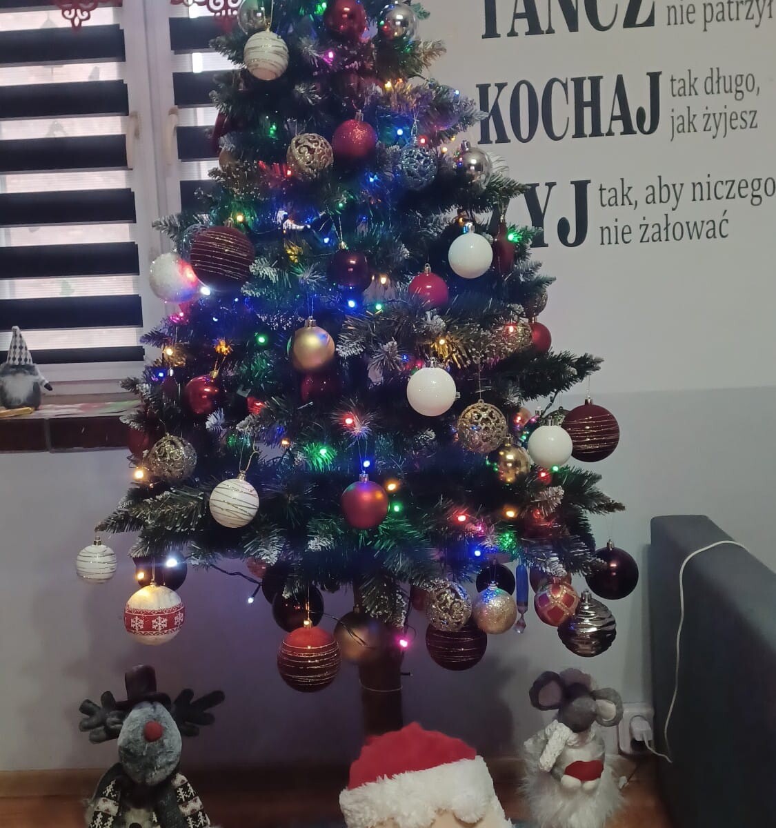 Tradycyjnie już jak co roku na Facebooku RudaSlaska.com.pl poprosiliśmy naszych czytelników, aby wysłali nam zdjęcia swoich choinek bożonarodzeniowych. Odzew był bardzo pozytywny. Zobaczcie stworzoną galerię ozdobionych drzewek!