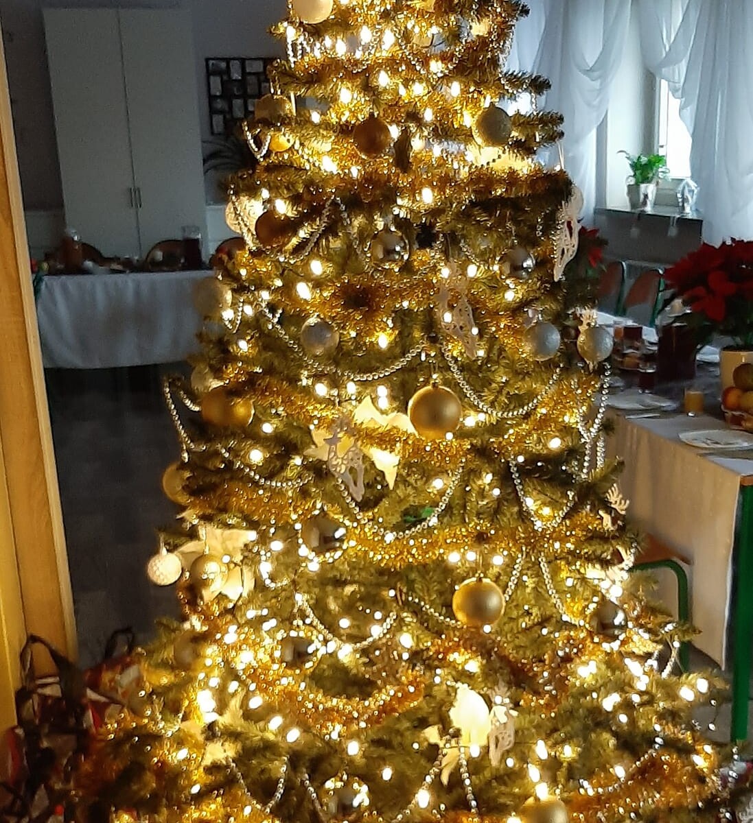 Tradycyjnie już jak co roku na Facebooku RudaSlaska.com.pl poprosiliśmy naszych czytelników, aby wysłali nam zdjęcia swoich choinek bożonarodzeniowych. Odzew był bardzo pozytywny. Zobaczcie stworzoną galerię ozdobionych drzewek!