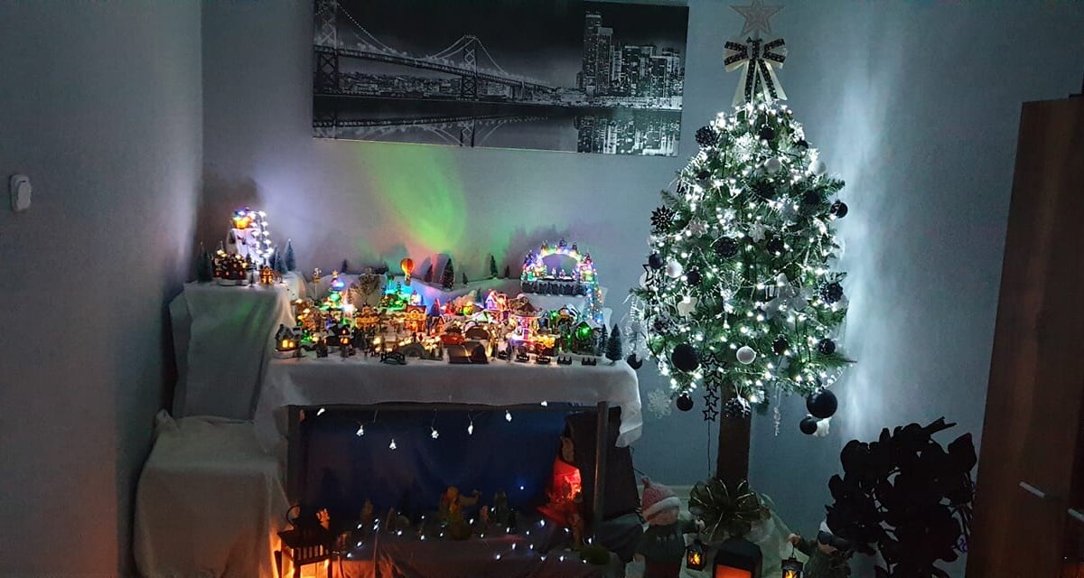 Tradycyjnie już jak co roku na Facebooku RudaSlaska.com.pl poprosiliśmy naszych czytelników, aby wysłali nam zdjęcia swoich choinek bożonarodzeniowych. Odzew był bardzo pozytywny. Zobaczcie stworzoną galerię ozdobionych drzewek!