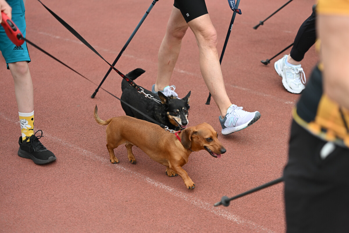 Za nami czerwcowa  edycja Biegu Wiewiórki w Rudzie Śląskiej / fot. Marek Faber i Krzysztof Faber