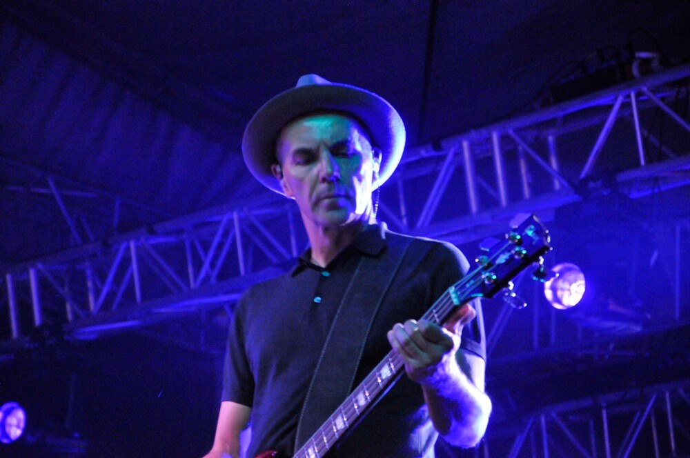 Tłum szalał podczas występów: Sarsy, Oberschlesien i Wilków! Zobaczcie zdjęcia.