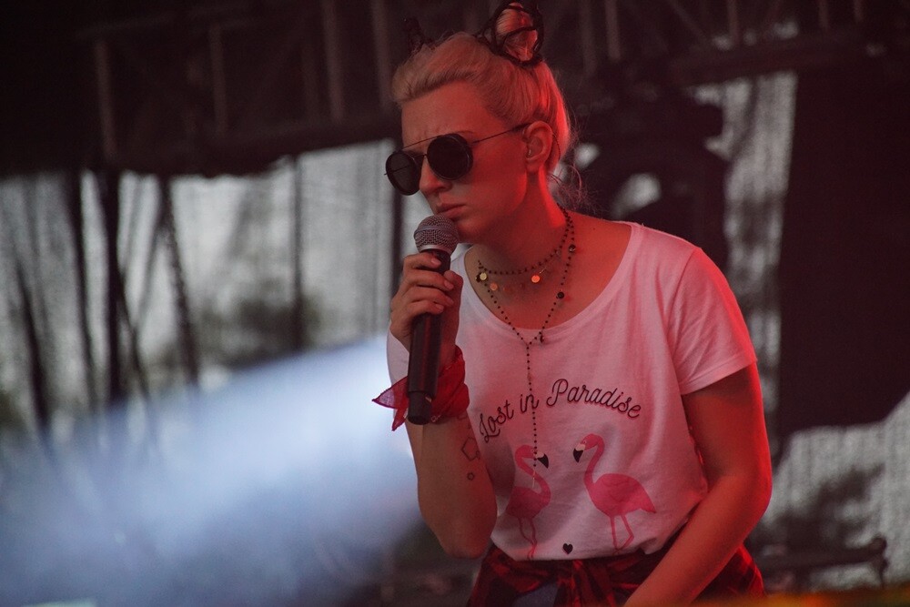 Tłum szalał podczas występów: Sarsy, Oberschlesien i Wilków! Zobaczcie zdjęcia.