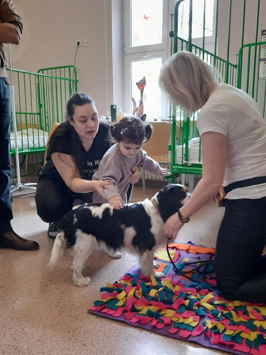Rudzki szpital dzięki współpracy z Fundacją Dr Clown, wprowadził na Oddziale Pediatrycznym zajęcia z dogoterapii dla małych pacjentów! / fot. Szpital Miejski w Rudzie Śląskiej