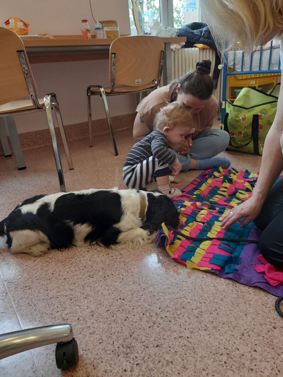 Rudzki szpital dzięki współpracy z Fundacją Dr Clown, wprowadził na Oddziale Pediatrycznym zajęcia z dogoterapii dla małych pacjentów! / fot. Szpital Miejski w Rudzie Śląskiej