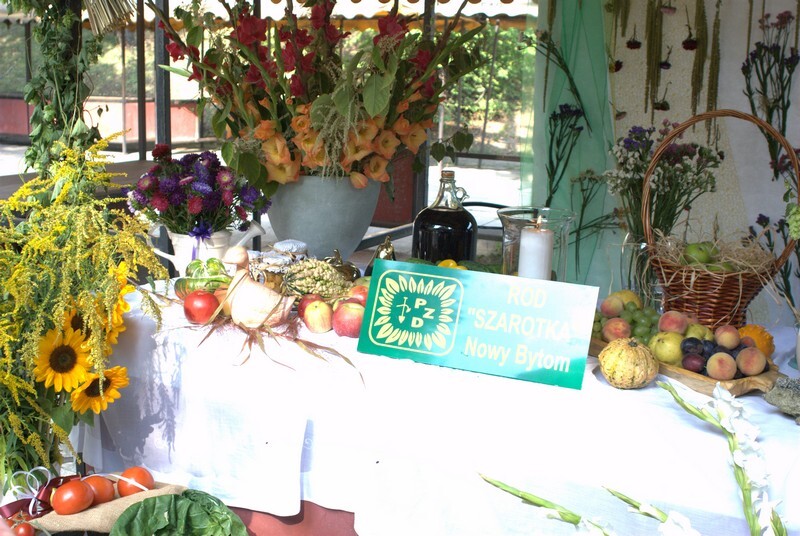 Dożynki 2019 w Rudzie Śląskiej dobiegły końca. W tym roku odbyła się druga edycja imprezy, podczas której działkowcy z rudzkich ogrodów podziękowali za plony. Świętowanie rozpoczęto 1 września od uroczystej mszy świętej w kościele pw. św. Wawrzyńca i św. Antoniego. Następnie sprzed świątyni wyruszył barwny korowód dożynkowy tworzony m.in. przez Orkiestrę Dętą KWK Halemba pod dyrekcją Piotra Szczygioła, Ochotniczą Straż Pożarną, przedstawicieli ogrodów działkowych, rolników i władz miasta. Pochód pomaszerował na tereny targowe w dzielnicy Wirek, gdzie miały miejsce główne uroczystości, a ich głównym punktem był wybór najpiękniejszej wystawy plonów.