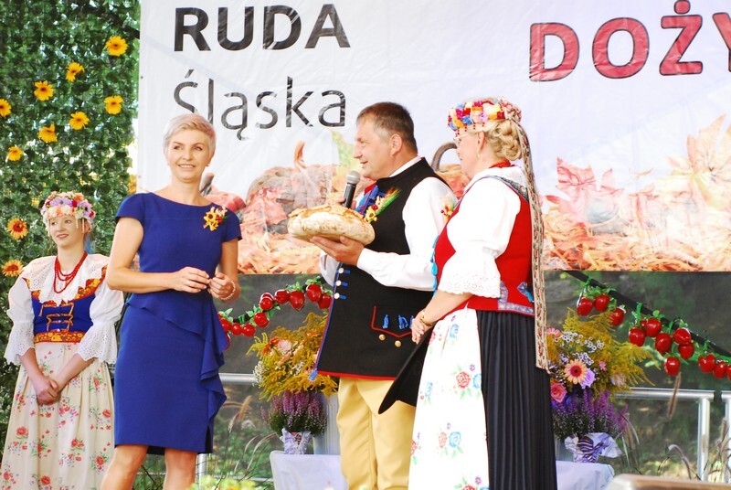 Dożynki 2019 w Rudzie Śląskiej dobiegły końca. W tym roku odbyła się druga edycja imprezy, podczas której działkowcy z rudzkich ogrodów podziękowali za plony. Świętowanie rozpoczęto 1 września od uroczystej mszy świętej w kościele pw. św. Wawrzyńca i św. Antoniego. Następnie sprzed świątyni wyruszył barwny korowód dożynkowy tworzony m.in. przez Orkiestrę Dętą KWK Halemba pod dyrekcją Piotra Szczygioła, Ochotniczą Straż Pożarną, przedstawicieli ogrodów działkowych, rolników i władz miasta. Pochód pomaszerował na tereny targowe w dzielnicy Wirek, gdzie miały miejsce główne uroczystości, a ich głównym punktem był wybór najpiękniejszej wystawy plonów.