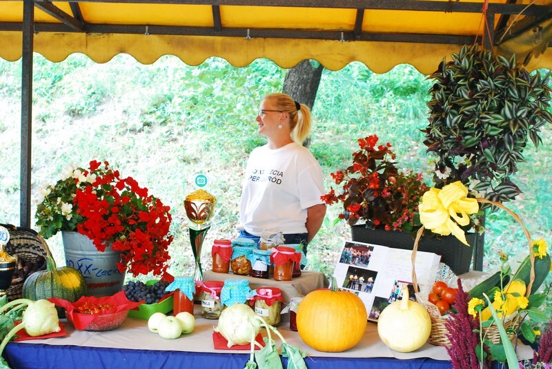 Dożynki 2019 w Rudzie Śląskiej dobiegły końca. W tym roku odbyła się druga edycja imprezy, podczas której działkowcy z rudzkich ogrodów podziękowali za plony. Świętowanie rozpoczęto 1 września od uroczystej mszy świętej w kościele pw. św. Wawrzyńca i św. Antoniego. Następnie sprzed świątyni wyruszył barwny korowód dożynkowy tworzony m.in. przez Orkiestrę Dętą KWK Halemba pod dyrekcją Piotra Szczygioła, Ochotniczą Straż Pożarną, przedstawicieli ogrodów działkowych, rolników i władz miasta. Pochód pomaszerował na tereny targowe w dzielnicy Wirek, gdzie miały miejsce główne uroczystości, a ich głównym punktem był wybór najpiękniejszej wystawy plonów.