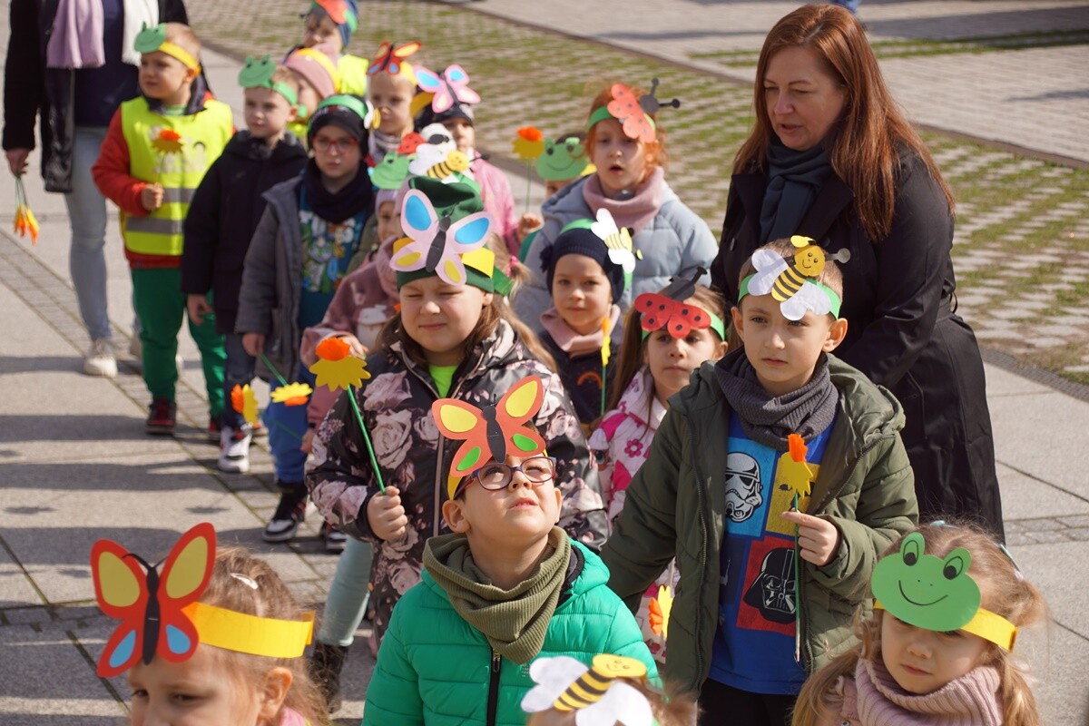 Mali rudzianie z rudzkich przedszkoli i szkół podstawowych przywitały dzisiaj wiosnę na nowobytomskim rynku.