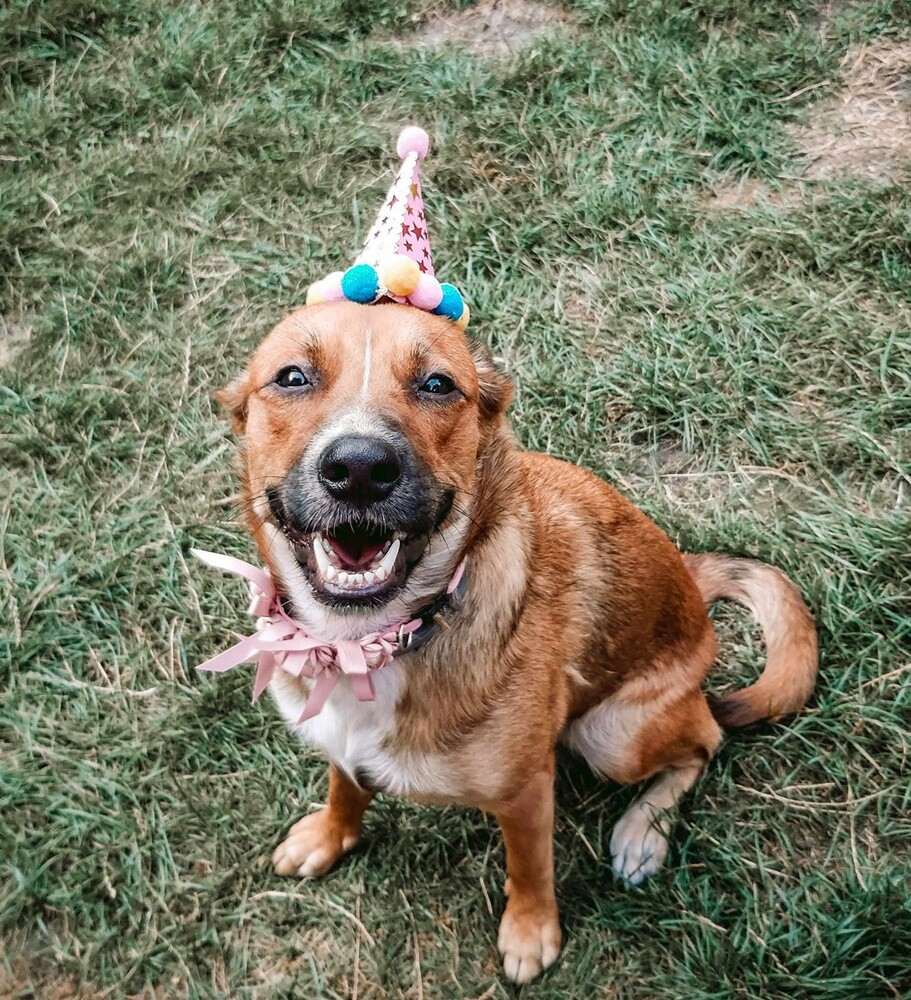 Dzień Kundelka 2024. / fot. Czytelnicy