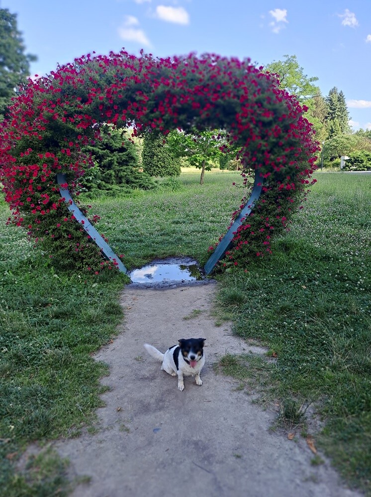 Dzień Kundelka 2024. / fot. Czytelnicy