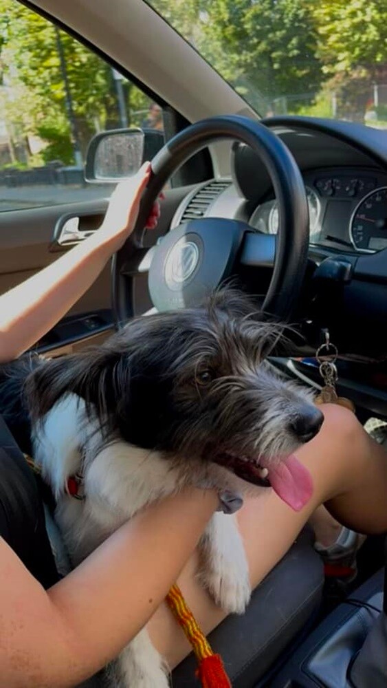 Dzień Kundelka 2024. / fot. Czytelnicy