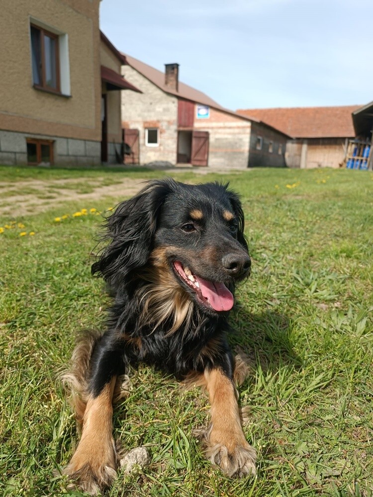 Dzień Kundelka 2024. / fot. Czytelnicy