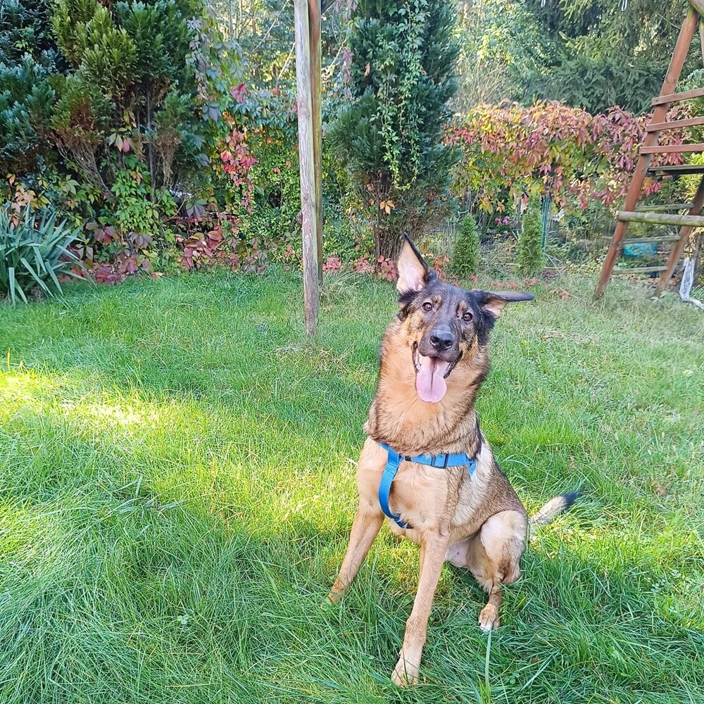 Dzień Kundelka 2024. / fot. Czytelnicy