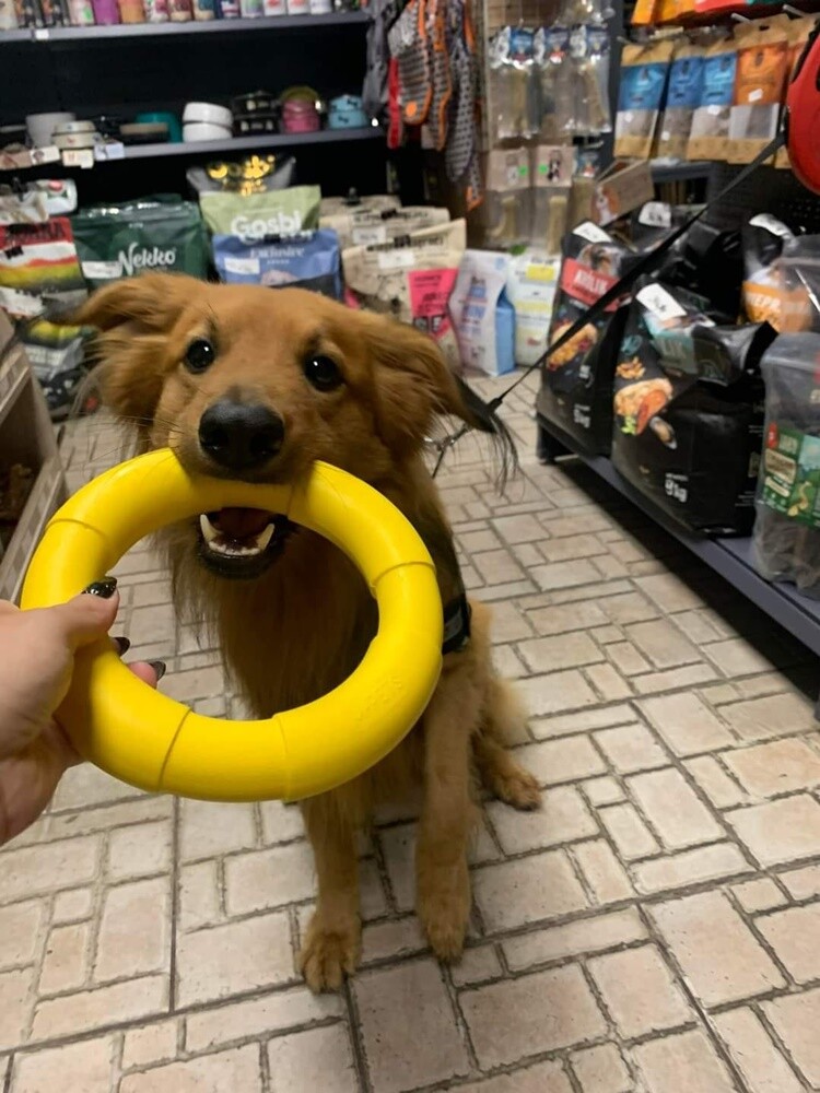 Dzień Kundelka 2024. / fot. Czytelnicy