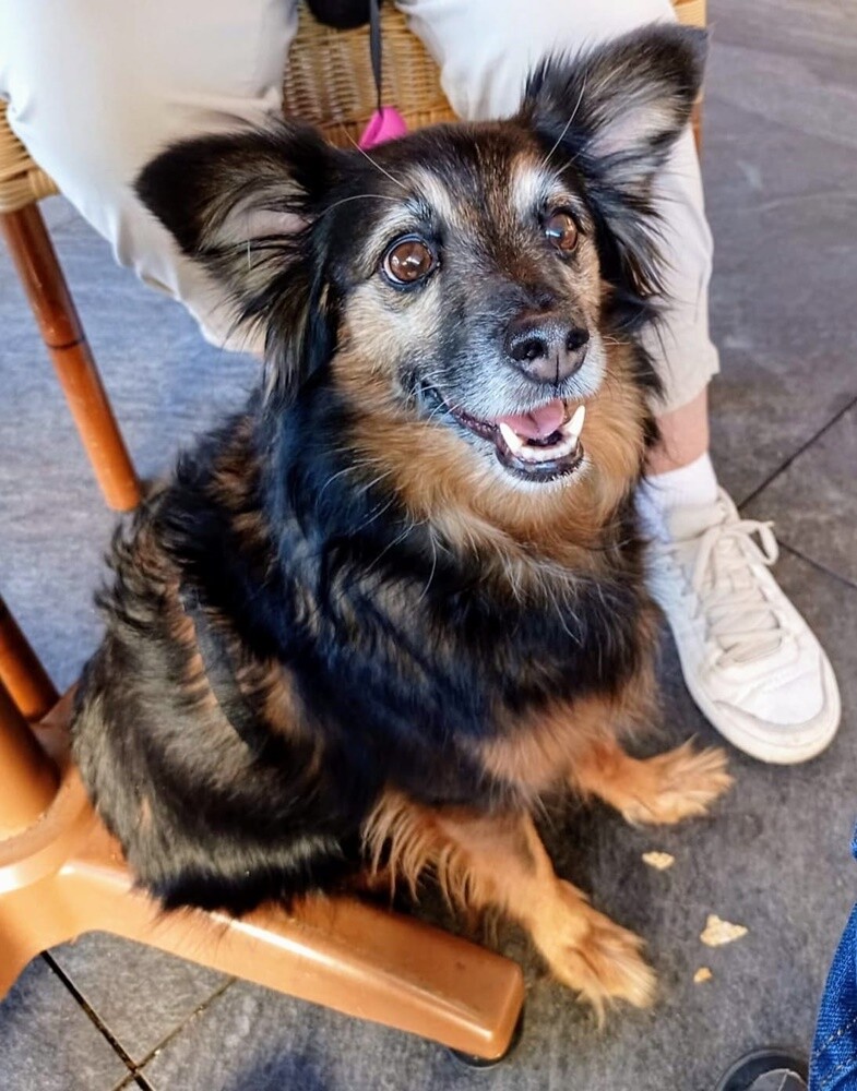 Dzień Kundelka 2024. / fot. Czytelnicy