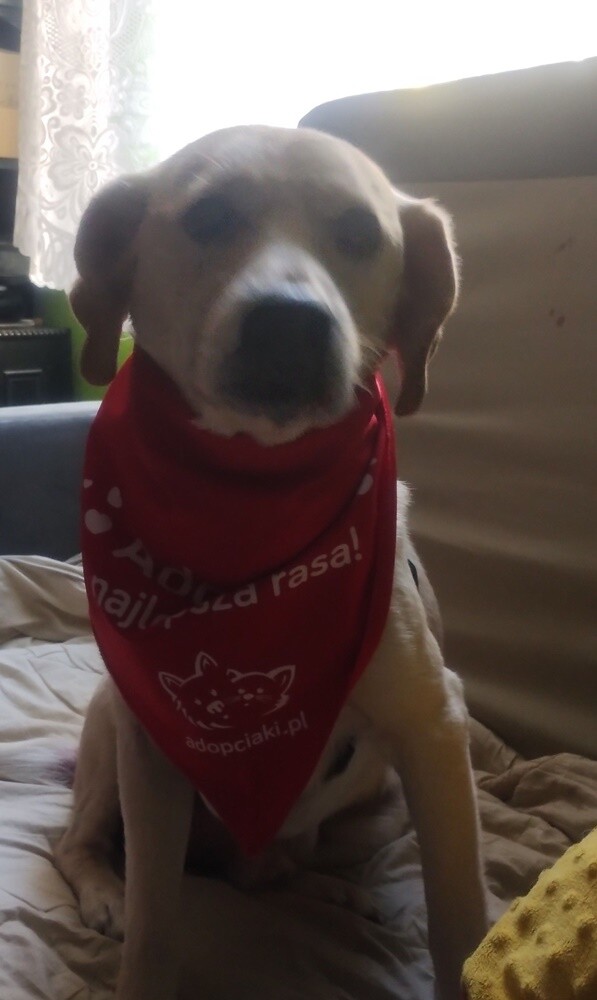 Dzień Kundelka 2024. / fot. Czytelnicy