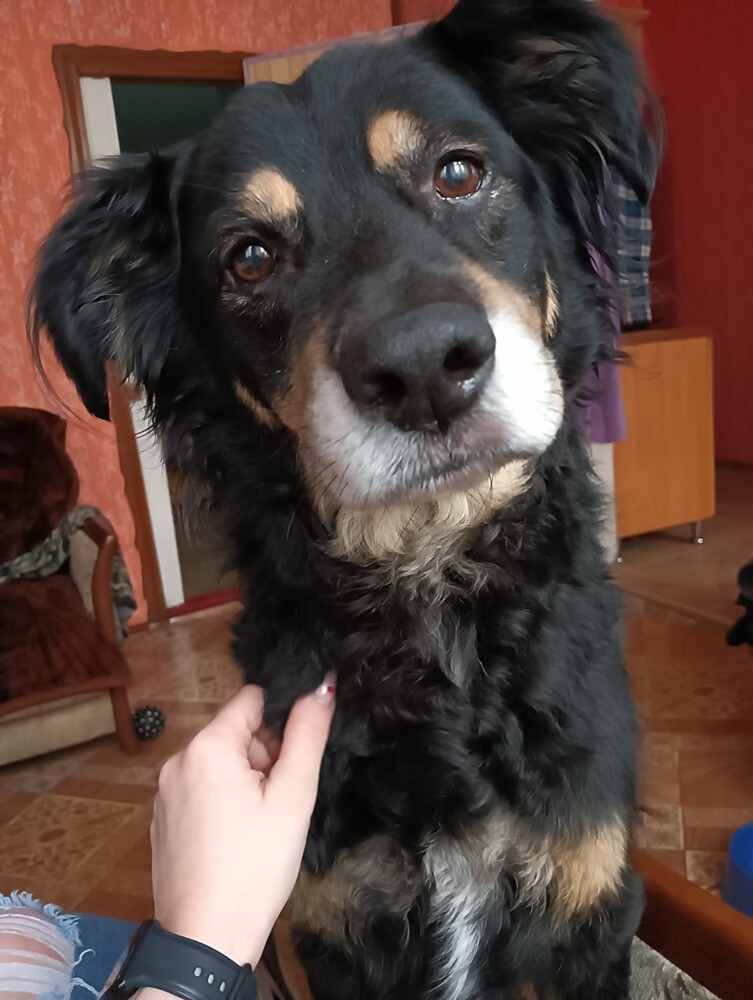 Dzień Kundelka 2024. / fot. Czytelnicy