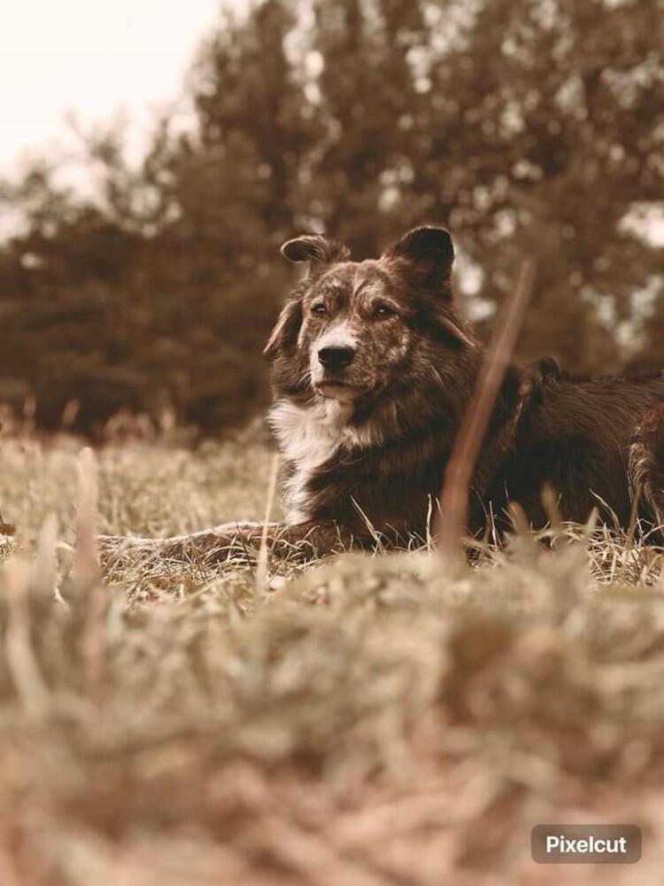 Dzień Kundelka 2024. / fot. Czytelnicy