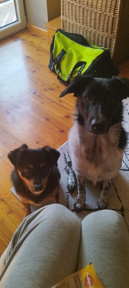 Dzień Kundelka 2024. / fot. Czytelnicy